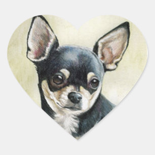 Pegatina En Forma De Corazón Pegatina del corazón de la chihuahua