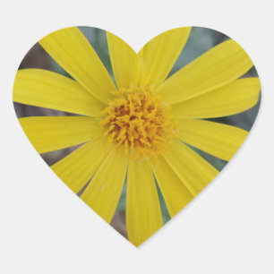 Pegatina En Forma De Corazón Pegatina del corazón de la flor amarilla