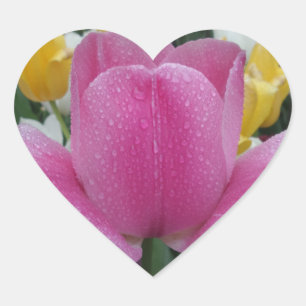Pegatina En Forma De Corazón Pegatina del corazón de la flor tulipana rosada