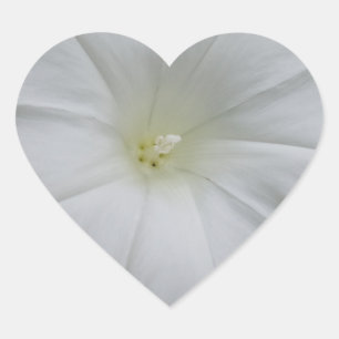 Pegatina En Forma De Corazón Pegatina del corazón de las flores blancas