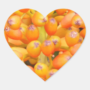 Pegatina En Forma De Corazón Pegatina del corazón de semillas de flores