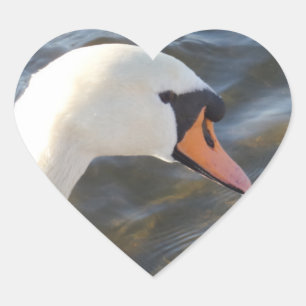 Pegatina En Forma De Corazón Pegatina del corazón del cisne blanco