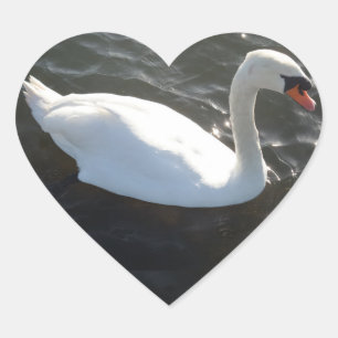 Pegatina En Forma De Corazón Pegatina del corazón del cisne blanco