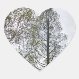 Pegatina En Forma De Corazón Pegatina del corazón natural