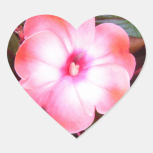 Pegatina En Forma De Corazón Pegatinas de Blossom Rosa