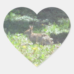 Pegatina En Forma De Corazón Pegatinas de conejitos silvestres - Hoja de 20