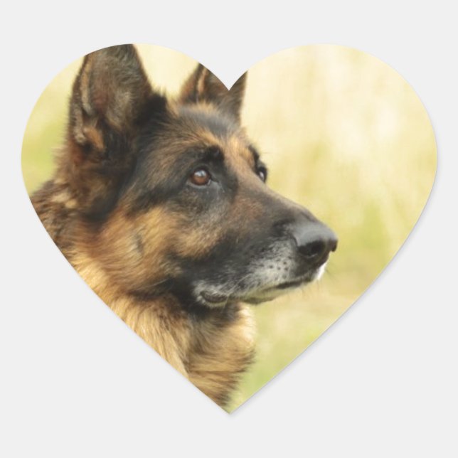 Pegatina En Forma De Corazón Pegatinas de Cute German Shepherd (Anverso)