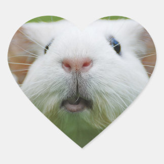 Pegatina En Forma De Corazón Pegatinas de Nibbler