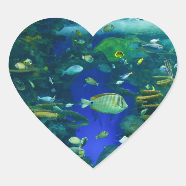 Pegatina En Forma De Corazón Pegatinas de peces tropicales (Anverso)