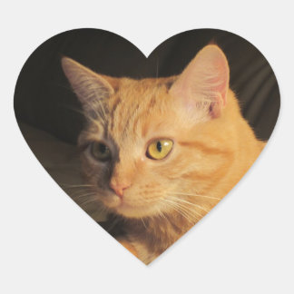 Pegatina En Forma De Corazón Pegatinas del corazón de Marmalady