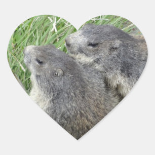 Pegatina En Forma De Corazón Pegatinas Marmot