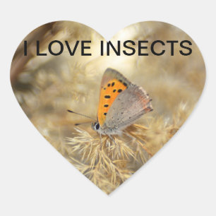 Pegatina En Forma De Corazón Pequeña mariposa de fuego