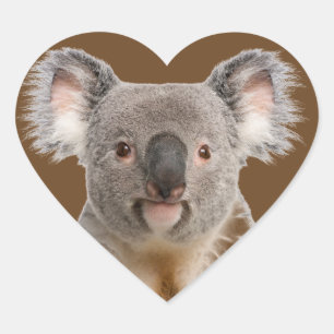 Pegatina En Forma De Corazón Pequeño Koala lindo oso animal australiano