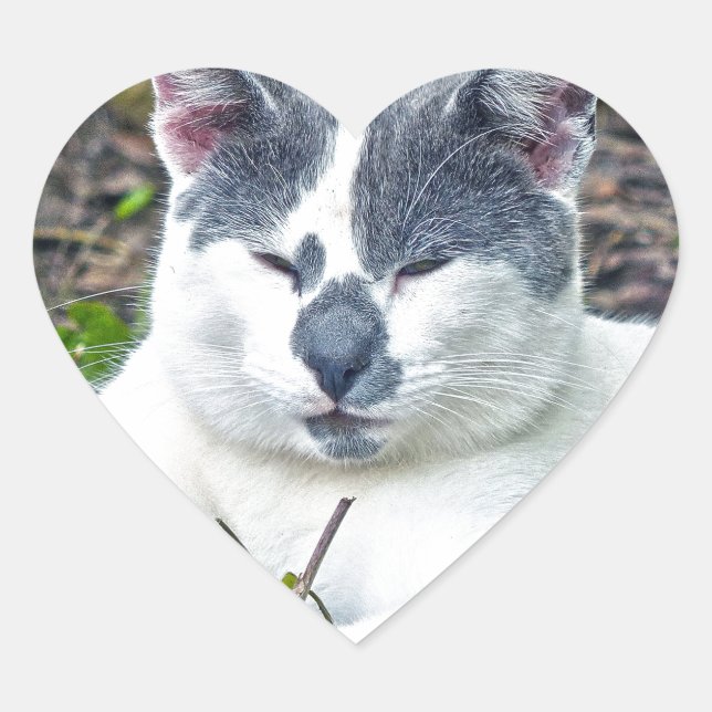 Pegatina En Forma De Corazón Pequeño Mister Pants (Anverso)