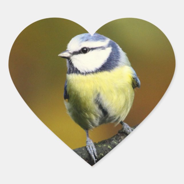 Pegatina En Forma De Corazón Pequeño pájaro (Anverso)