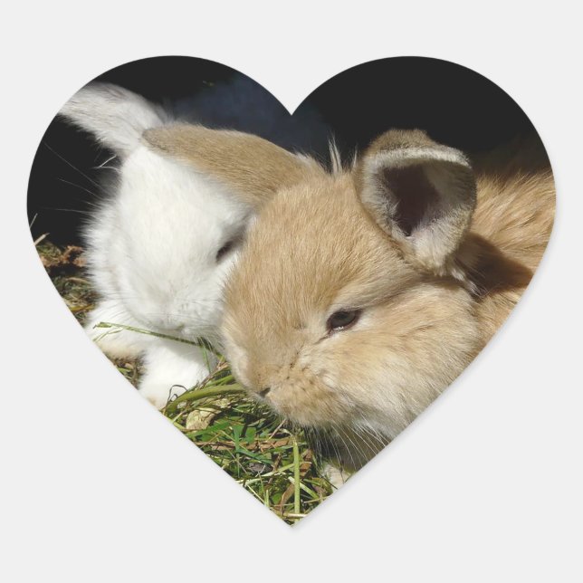 Pegatina En Forma De Corazón Pequeños conejitos esponjosos (Anverso)