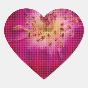 Pegatina En Forma De Corazón Perfección Petal: arte de patrón Petal Rosa contro