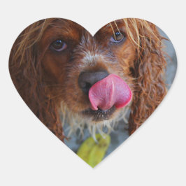 Pegatina En Forma De Corazón Perro húmedo con banana