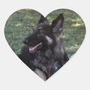 Pegatina En Forma De Corazón Perro pastor alemán