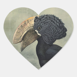 Pegatina En Forma De Corazón Pintura de ave de Hornbill antigua