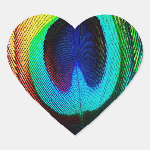 Pegatina En Forma De Corazón Pluma de pavo real vibrante