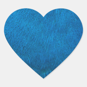 Pegatina En Forma De Corazón plumas de pavo real azul