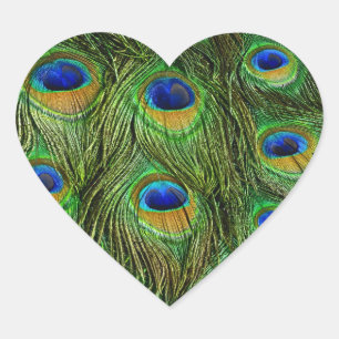 Pegatina En Forma De Corazón Plumas Hermosas de Pavo Real