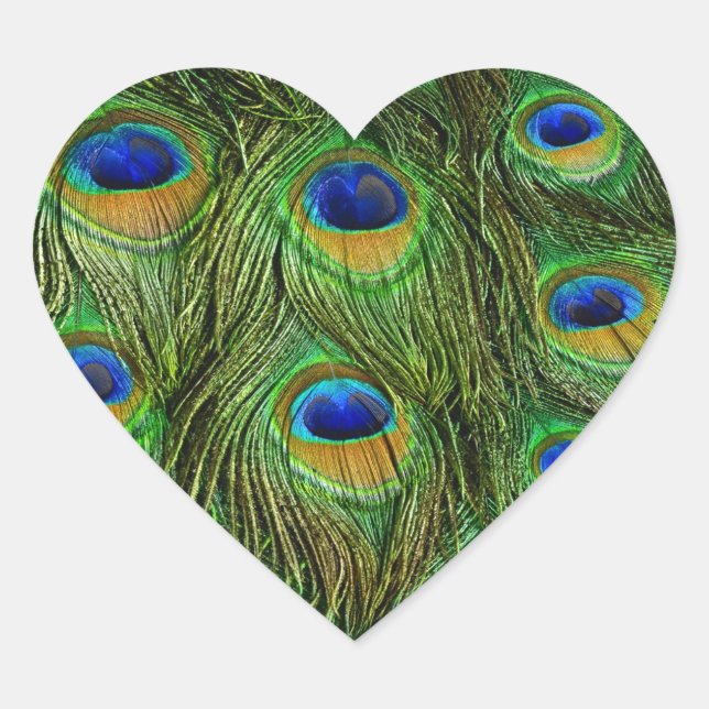 Pegatina En Forma De Corazón Plumas Hermosas de Pavo Real (Anverso)