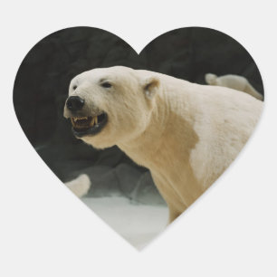 Pegatina En Forma De Corazón Polar Bear Grin