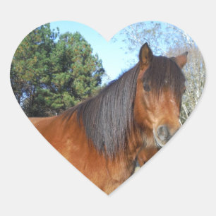Pegatina En Forma De Corazón Poni marrón cielo turquesa