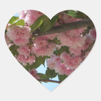 Pegatina En Forma De Corazón Primavera del Árbol de cerezo IV con doble floreci