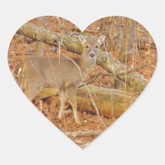 Pegatina En Forma De Corazón Primer invierno de Baby Deer