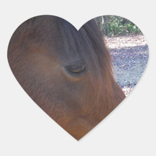 Pegatina En Forma De Corazón Primer plano de caballo marrón, pequeño pony marró