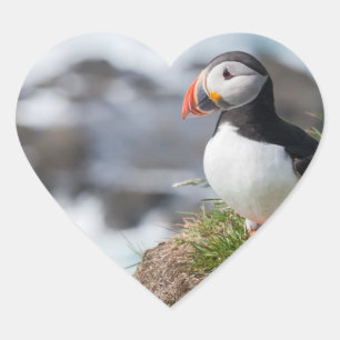 Pegatina En Forma De Corazón Puffin