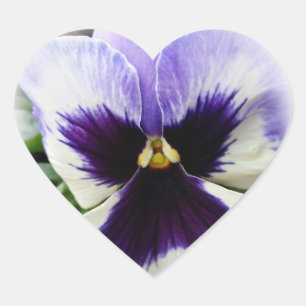 Pegatina En Forma De Corazón púrpura profundo sobre la marsopa blanca