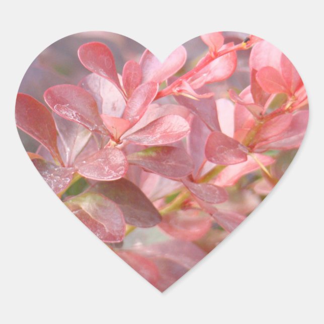 Pegatina En Forma De Corazón Ramas rosadas de bonito (Anverso)