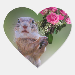 Pegatina En Forma De Corazón Ramo de la marmota