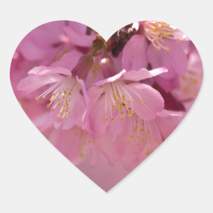 Pegatina En Forma De Corazón Ramo delicado de flor de cerezo Sakura