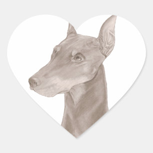Pegatina En Forma De Corazón Retrato Doberman