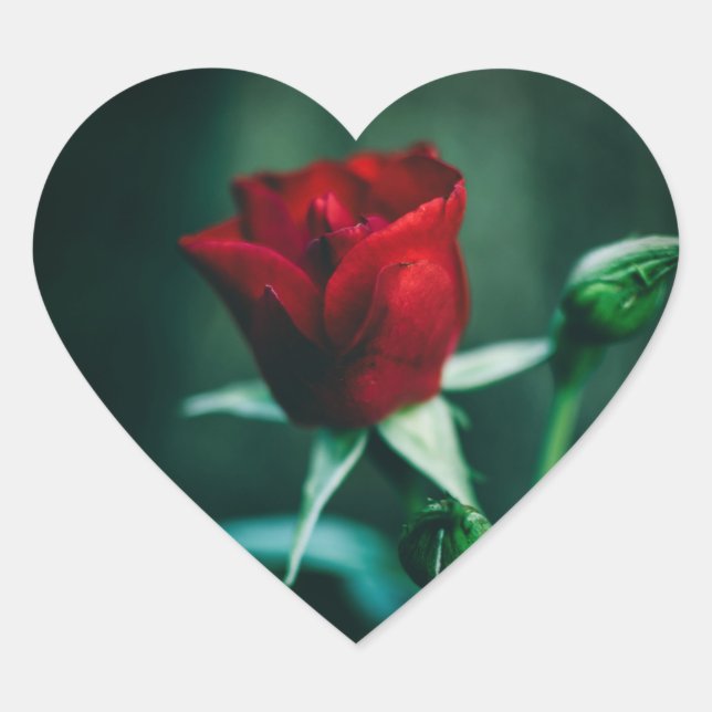 Pegatina En Forma De Corazón rojo sencillo (Anverso)