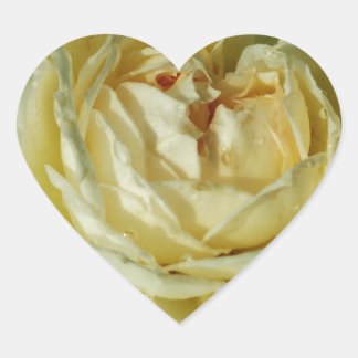 Pegatina En Forma De Corazón Rosa Blanca, Flores Crema, Corazón Floral Elegante