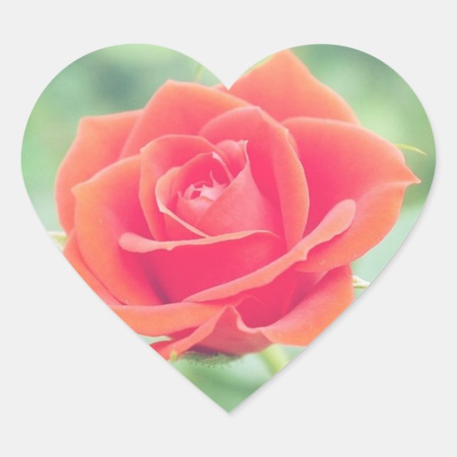 Pegatina En Forma De Corazón Rosa coral (Anverso)