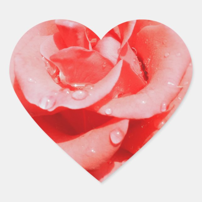Pegatina En Forma De Corazón Rosas de época (Anverso)
