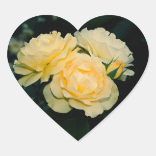 Pegatina En Forma De Corazón Rosas de oro Bouquet