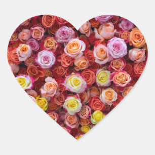 Pegatina En Forma De Corazón Rosas Florales de Colores Mezclados Vibrantes