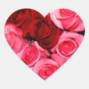 Pegatina En Forma De Corazón Rosas, rosa y rojo