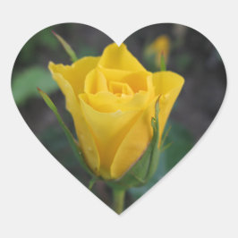 Pegatina En Forma De Corazón Rosebud amarillo