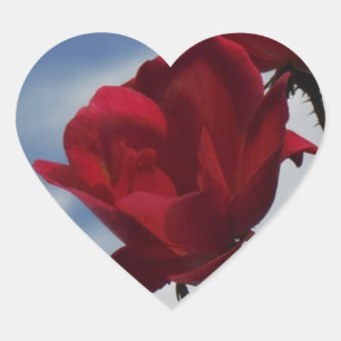 Pegatina En Forma De Corazón Roses rojos contra un brillante cielo azul