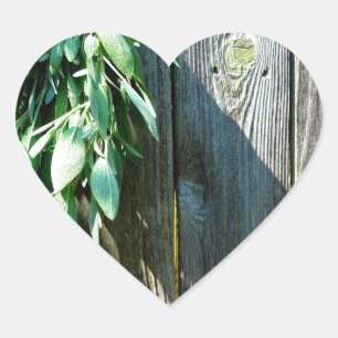 Pegatina En Forma De Corazón Sage Barn-wood de corte fresco