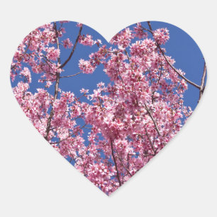 Pegatina En Forma De Corazón Sakura Flor de Cerezo en el Azul